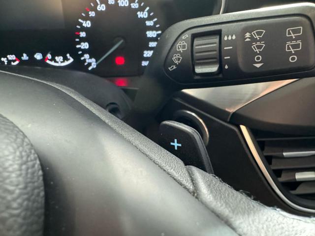 FORD Focus usata, con Servosterzo