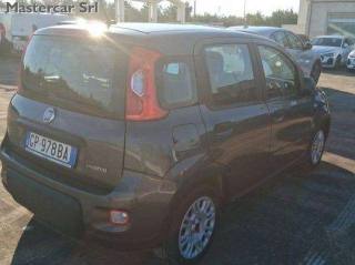 FIAT Panda usata, con Antifurto