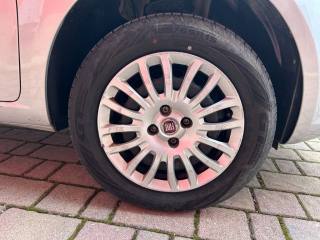 FIAT Punto usata, con Servosterzo