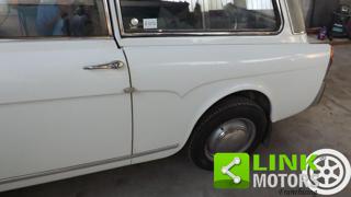 AUTOBIANCHI Bianchina usata 14