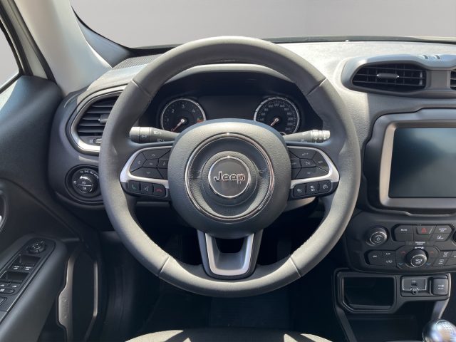 JEEP Renegade usata, con ESP