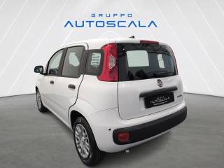 FIAT New Panda usata, con Airbag laterali