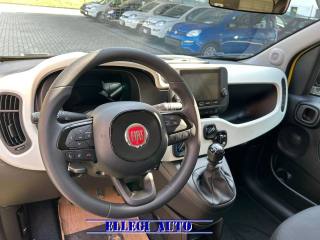 FIAT Pandina usata, con Immobilizzatore elettronico