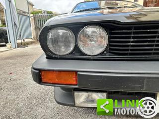 ALFA ROMEO GTV usata 14