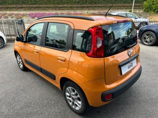 FIAT Panda usata, con Airbag Passeggero