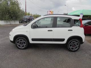 FIAT Panda usata, con Climatizzatore