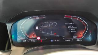 BMW 318 usata, con Fendinebbia