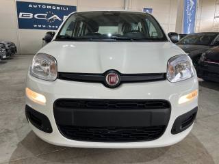 FIAT Panda usata, con Airbag