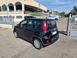 FIAT Panda usata, con Chiusura centralizzata