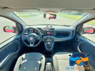 FIAT Panda usata, con Cronologia tagliandi