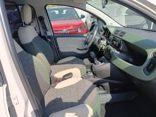 FIAT Panda usata, con Trazione integrale