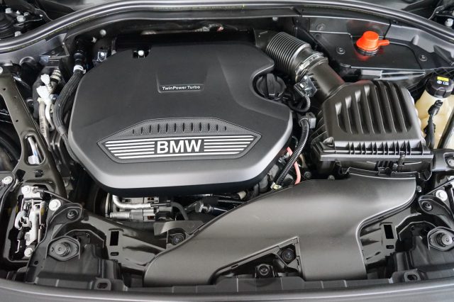 BMW 116 usata 53