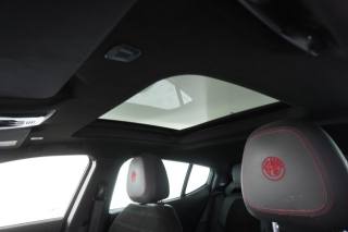 ALFA ROMEO Tonale usata 14