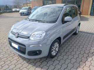 FIAT Panda usata, con Airbag Passeggero