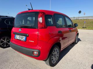 FIAT Panda usata, con Airbag Passeggero