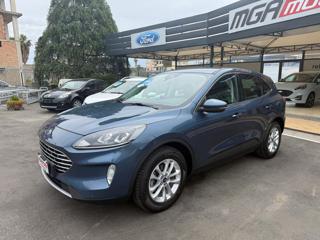 FORD Kuga 1.5 EcoBlue 120 CV 2WD Titanium Business