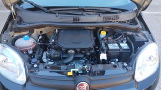 FIAT Panda usata, con Servosterzo