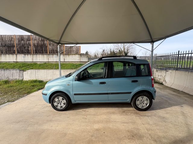 FIAT Panda usata, con Fendinebbia