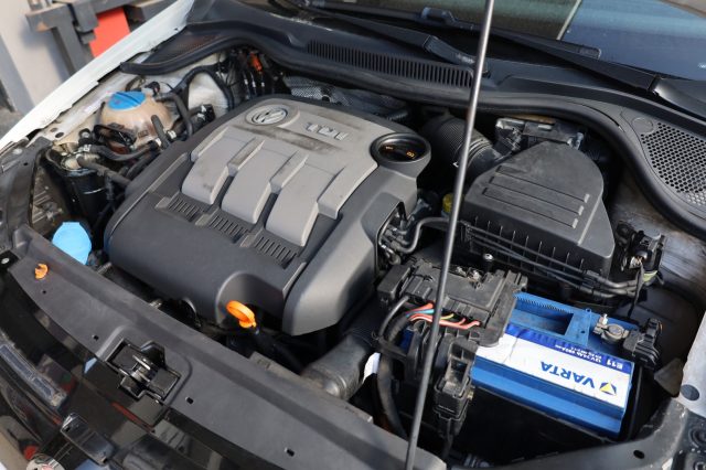 VOLKSWAGEN Polo usata 79