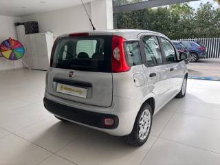 FIAT Panda usata, con Fendinebbia