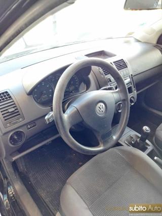 VOLKSWAGEN Polo usata 13