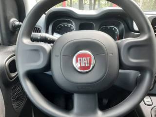 FIAT Panda usata, con Cerchioni in acciaio