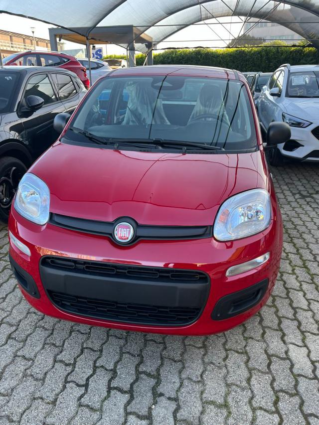 FIAT Panda usata 17