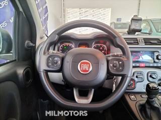 FIAT Panda usata 17