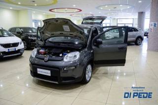FIAT Panda usata, con Controllo trazione