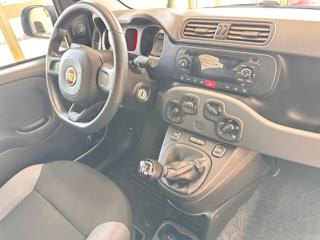 FIAT Panda usata, con USB