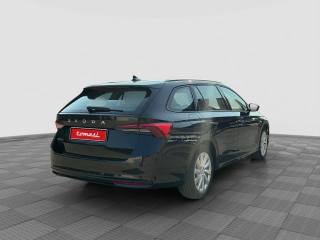 SKODA Octavia usata 4