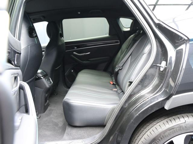 BYD Seal usata, con Autoradio