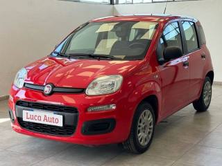 FIAT Panda 1.2 69CV *UNICO PROP.*OK NEOPAT.*