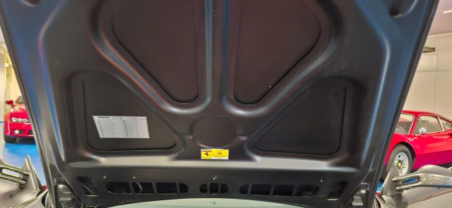 FERRARI F430 usata 48