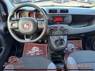 FIAT Panda usata, con Park Distance Control