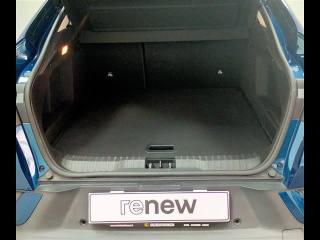 RENAULT Arkana usata, con Climatizzatore