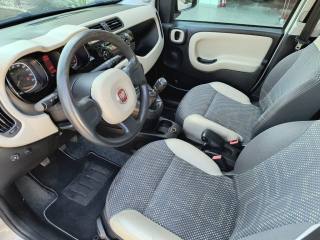 FIAT Panda Cross usata 17