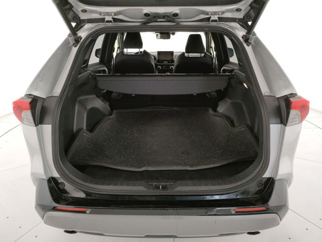 TOYOTA RAV 4 usata, con Controllo elettronico della corsia