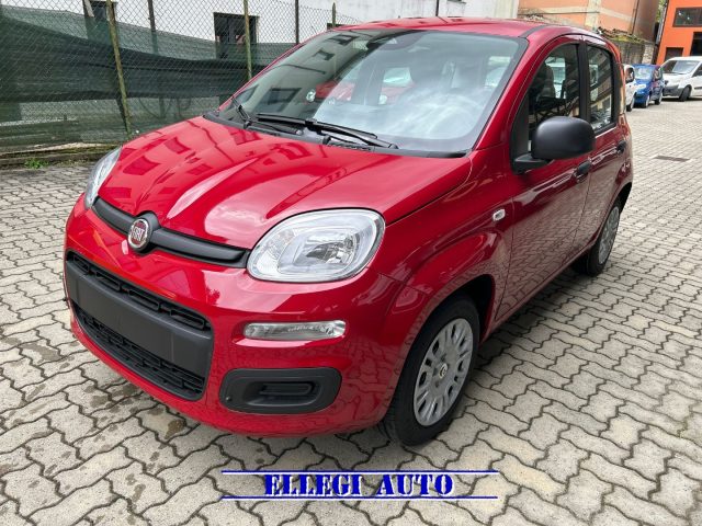 FIAT Panda usata, con Immobilizzatore elettronico