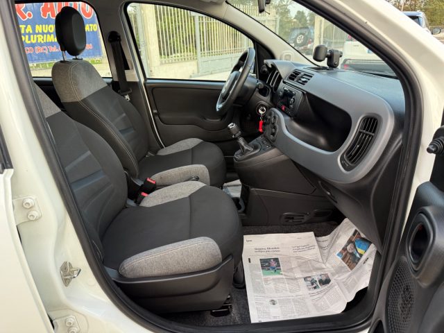 FIAT Panda usata 21