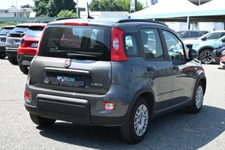 FIAT Panda usata, con Antifurto