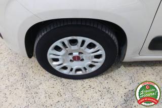 FIAT Panda usata, con Ski bag