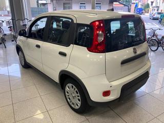 FIAT Panda usata, con Alzacristalli elettrici