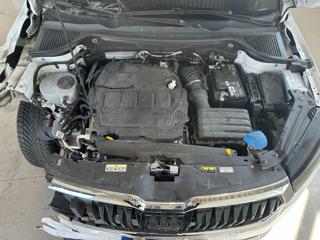 SKODA Karoq usata, con Fendinebbia