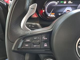 ALFA ROMEO Tonale usata, con Airbag laterali