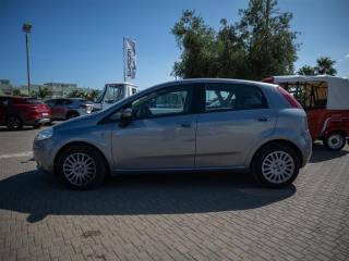 FIAT Punto usata 3