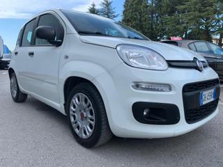 FIAT Panda usata 14