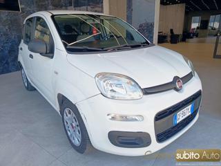 FIAT Panda usata, con Airbag Passeggero