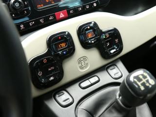 FIAT Panda usata, con Fendinebbia