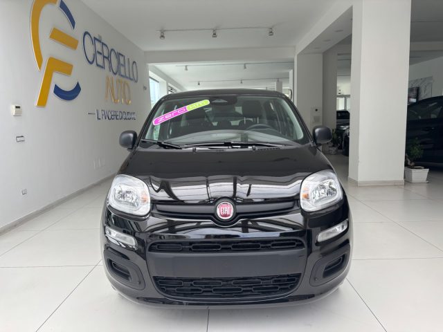 FIAT Panda usata, con Antifurto